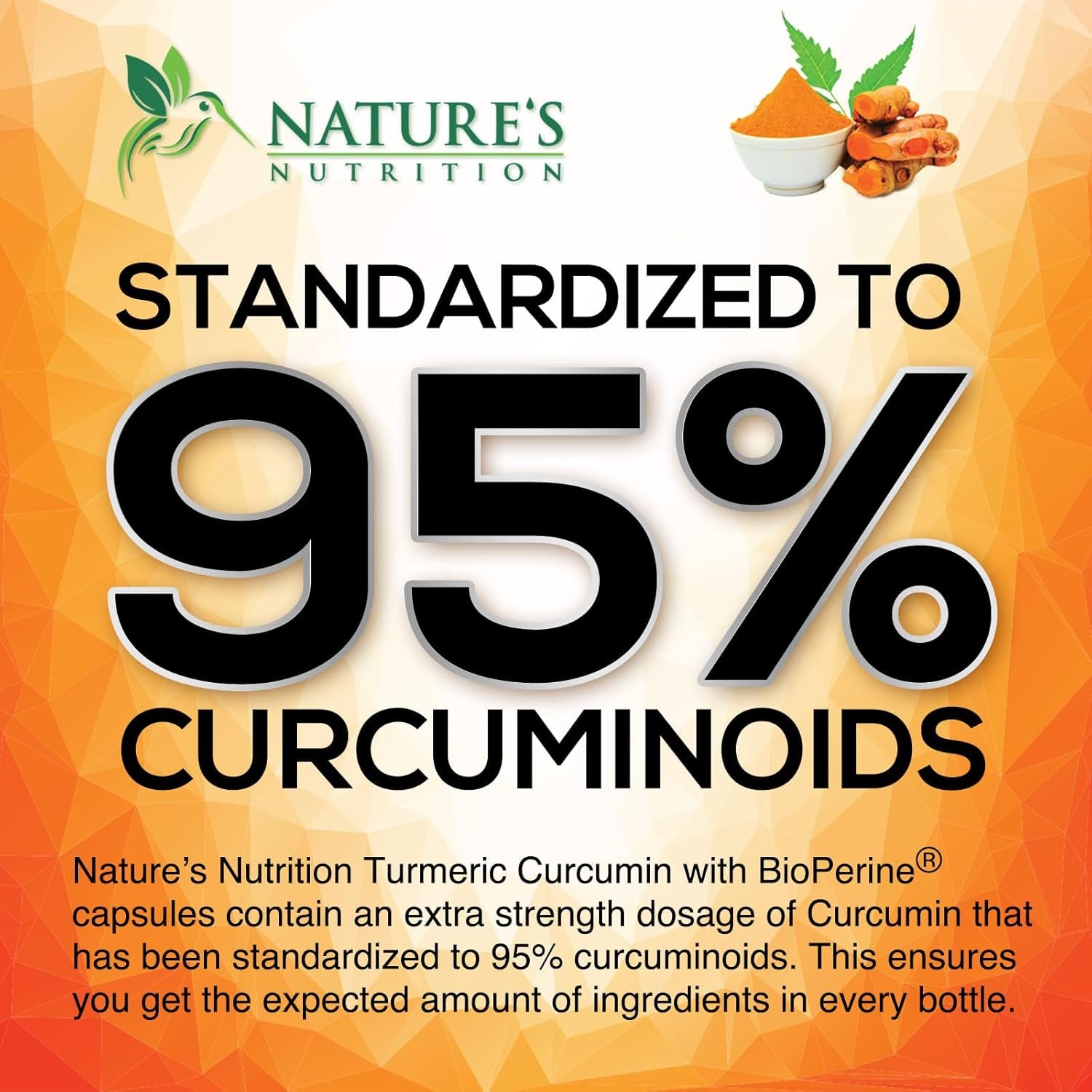Turmeric Curcumin Supplement 1950Mg - 95% Curcuminoids with Organic Tumeric & Bioperine Black Pepper for Best Absorption, Nature'S Joint & Immune Support, Vegan, Non-Gmo, Bottled in USA, 240 Capsules